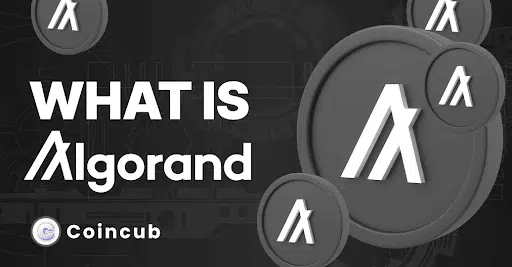 What is Algorand?