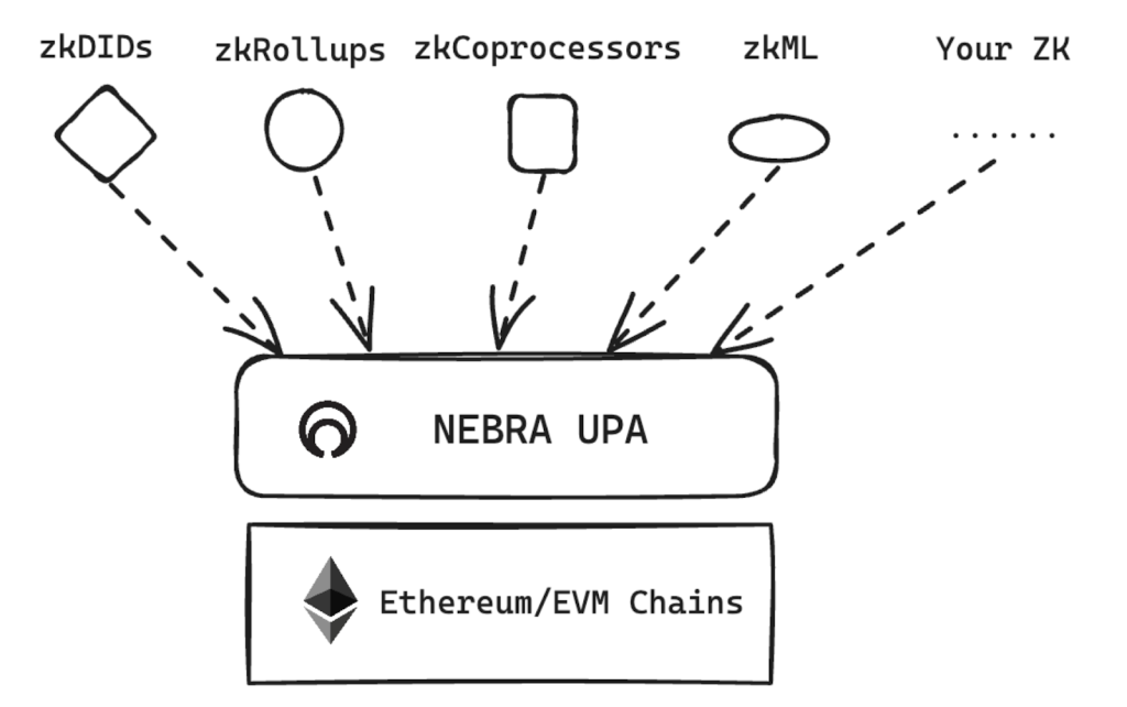 NEBRA's Revolutionary Approach to Zero-Knowledge Proofs | Coincub