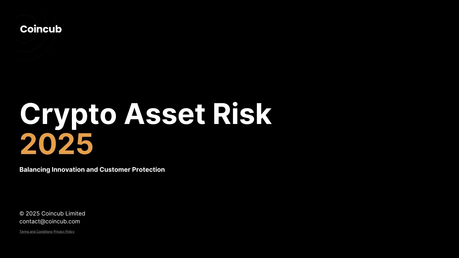 Crypto Asset Risk Report 2025