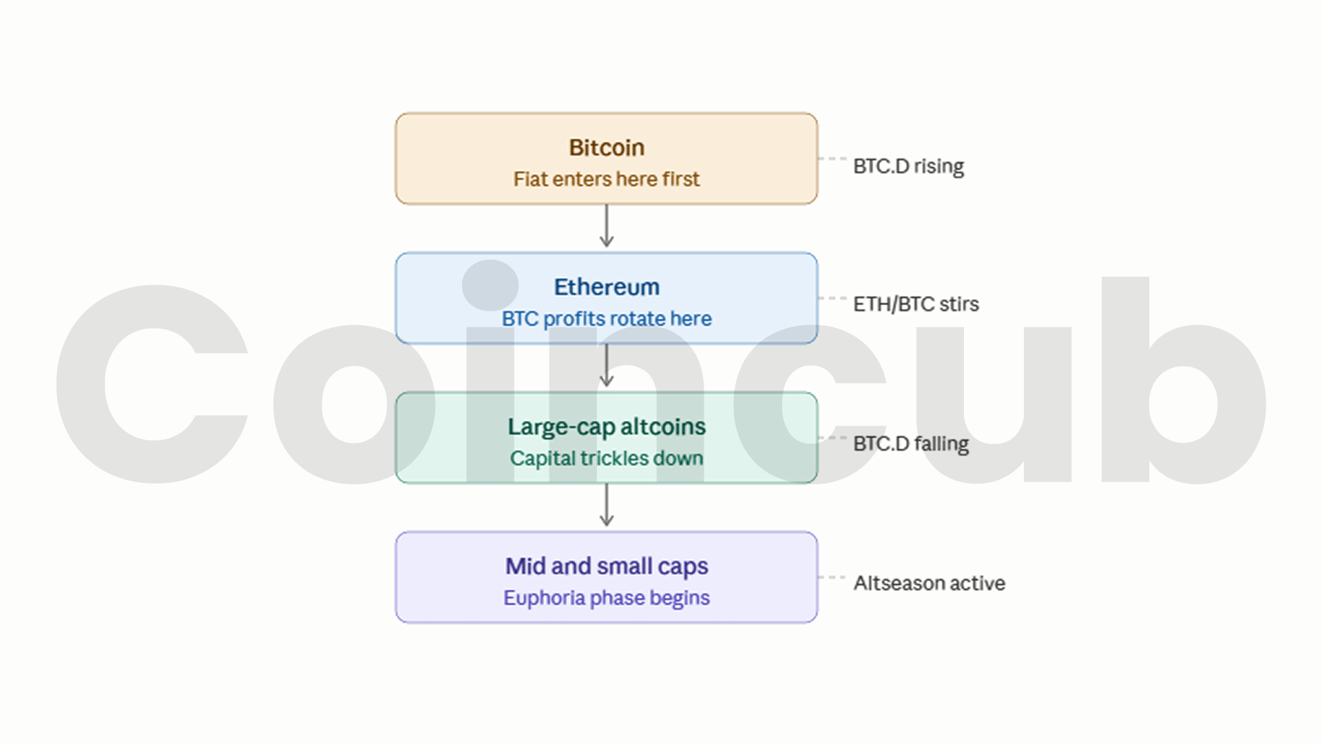 Altcoin Rotation Altcoin Rotation: When to Move From BTC to Small Caps | Coincub