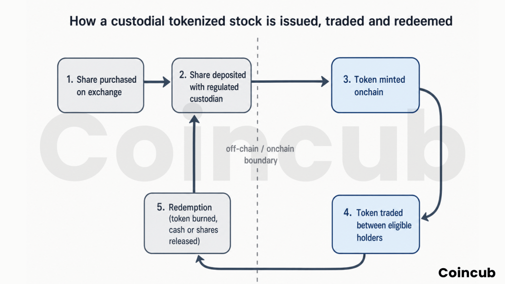 What Are Tokenized Stocks and How Do They Work? What Are Tokenized Stocks and How Do They Work?