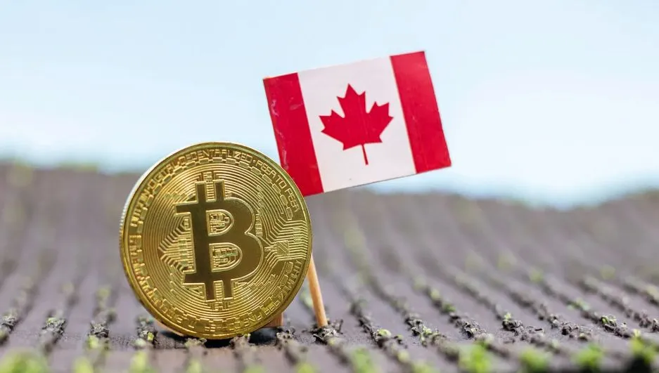 Canada’s VASP Registry Ranks Among the World’s Largest: What It Means for Regulated Crypto Payment Rails